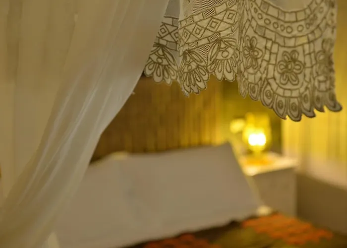 Gatto Bianco D'allora Alberobello