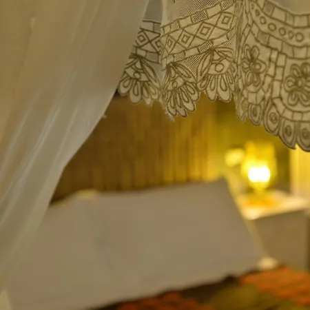 Gatto Bianco D'allora Alberobello